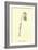 Guittara Pensilis-Edward Lear-Framed Giclee Print