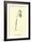 Guittara Pensilis-Edward Lear-Framed Giclee Print