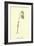 Guittara Pensilis-Edward Lear-Framed Giclee Print