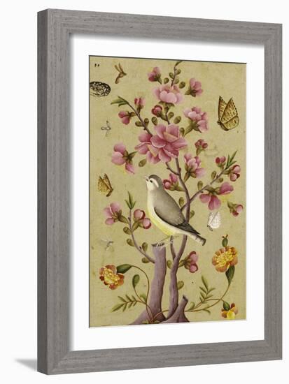 Gul-O Bulbul, Qajar Persia 19th Century-null-Framed Giclee Print