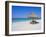 Gulf Coast Beach, Longboat Key, Florida, USA-Fraser Hall-Framed Photographic Print