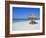 Gulf Coast Beach, Longboat Key, Florida, USA-Fraser Hall-Framed Photographic Print