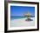 Gulf Coast Beach, Longboat Key, Florida, USA-Fraser Hall-Framed Photographic Print