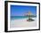 Gulf Coast Beach, Longboat Key, Florida, USA-Fraser Hall-Framed Photographic Print