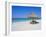 Gulf Coast Beach, Longboat Key, Florida, USA-Fraser Hall-Framed Photographic Print