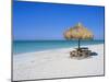 Gulf Coast Beach, Longboat Key, Florida, USA-Fraser Hall-Mounted Photographic Print