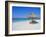 Gulf Coast Beach, Longboat Key, Florida, USA-Fraser Hall-Framed Photographic Print