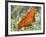 Gulf Fritillary, Texas, USA-Larry Ditto-Framed Photographic Print