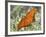 Gulf Fritillary, Texas, USA-Larry Ditto-Framed Photographic Print