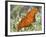 Gulf Fritillary, Texas, USA-Larry Ditto-Framed Photographic Print