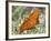 Gulf Fritillary, Texas, USA-Larry Ditto-Framed Photographic Print