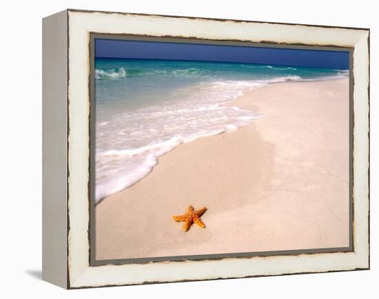 Gulf Island National Seashore, Santa Rosa Island, Florida-Maresa Pryor-Framed Premier Image Canvas