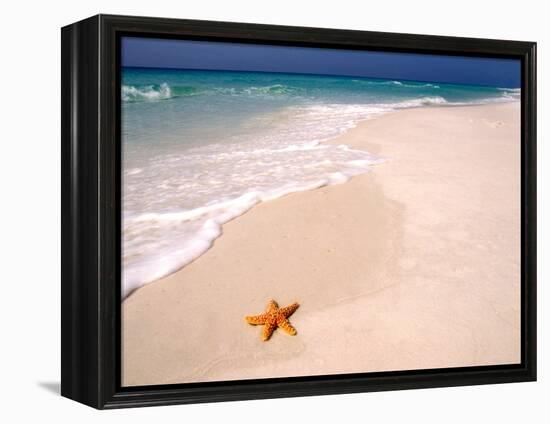 Gulf Island National Seashore, Santa Rosa Island, Florida-Maresa Pryor-Framed Premier Image Canvas