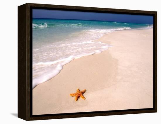 Gulf Island National Seashore, Santa Rosa Island, Florida-Maresa Pryor-Framed Premier Image Canvas