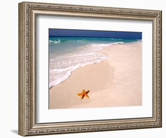 Gulf Island National Seashore, Santa Rosa Island, Florida-Maresa Pryor-Framed Photographic Print