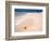 Gulf Island National Seashore, Santa Rosa Island, Florida-Maresa Pryor-Framed Photographic Print