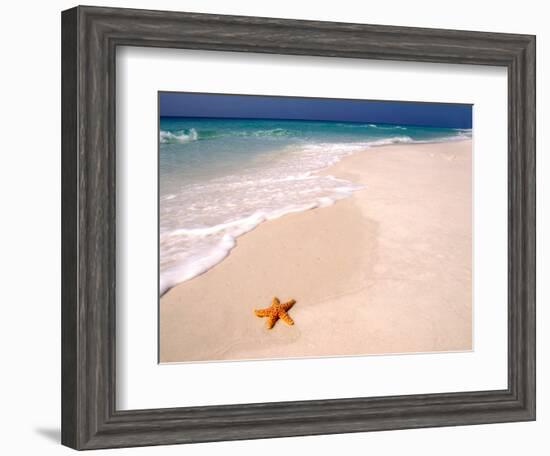 Gulf Island National Seashore, Santa Rosa Island, Florida-Maresa Pryor-Framed Photographic Print