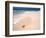 Gulf Island National Seashore, Santa Rosa Island, Florida-Maresa Pryor-Framed Photographic Print