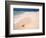 Gulf Island National Seashore, Santa Rosa Island, Florida-Maresa Pryor-Framed Photographic Print