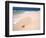 Gulf Island National Seashore, Santa Rosa Island, Florida-Maresa Pryor-Framed Photographic Print