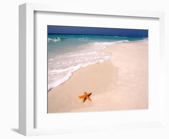 Gulf Island National Seashore, Santa Rosa Island, Florida-Maresa Pryor-Framed Photographic Print