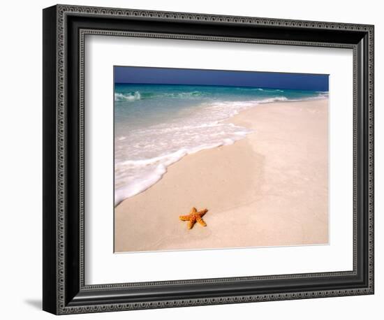 Gulf Island National Seashore, Santa Rosa Island, Florida-Maresa Pryor-Framed Photographic Print