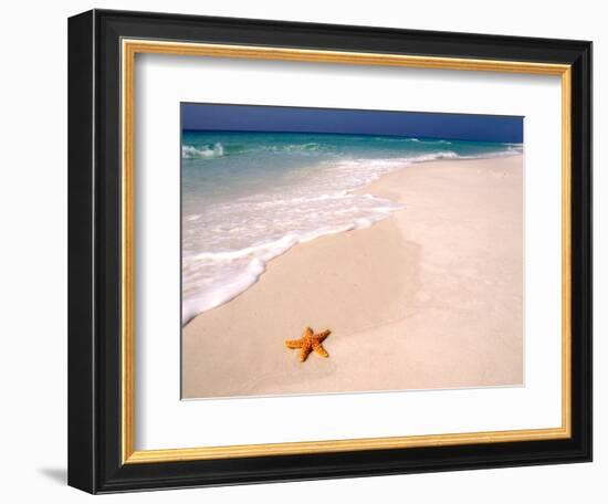 Gulf Island National Seashore, Santa Rosa Island, Florida-Maresa Pryor-Framed Photographic Print