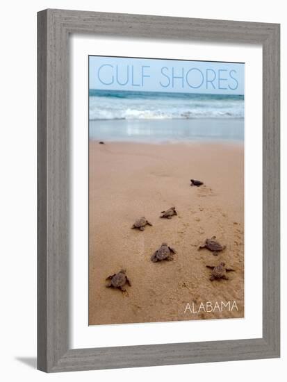 Gulf Shores, Alabama - Sea Turtles Hatching-Lantern Press-Framed Art Print