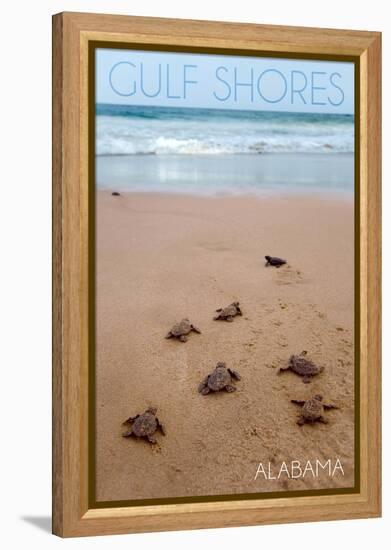 Gulf Shores, Alabama - Sea Turtles Hatching-Lantern Press-Framed Stretched Canvas