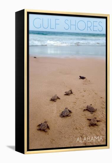 Gulf Shores, Alabama - Sea Turtles Hatching-Lantern Press-Framed Stretched Canvas