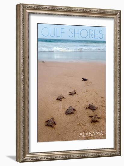 Gulf Shores, Alabama - Sea Turtles Hatching-Lantern Press-Framed Premium Giclee Print