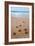 Gulf Shores, Alabama - Sea Turtles Hatching-Lantern Press-Framed Premium Giclee Print