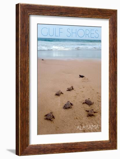 Gulf Shores, Alabama - Sea Turtles Hatching-Lantern Press-Framed Premium Giclee Print