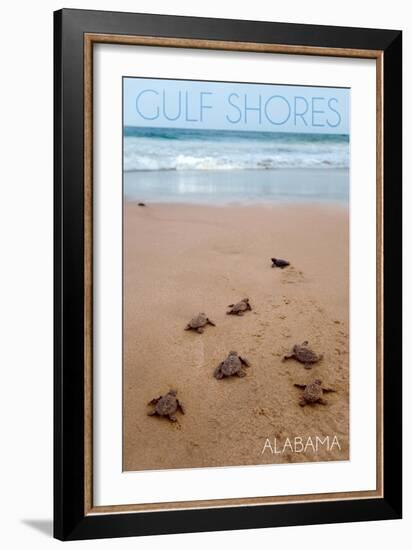 Gulf Shores, Alabama - Sea Turtles Hatching-Lantern Press-Framed Premium Giclee Print