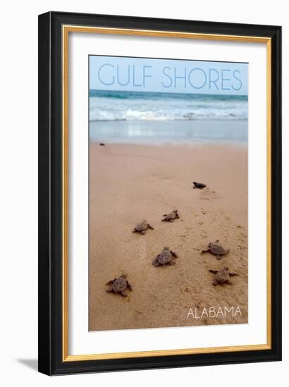 Gulf Shores, Alabama - Sea Turtles Hatching-Lantern Press-Framed Premium Giclee Print