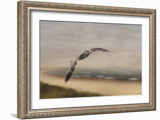 Gull at the Shore-Jai Johnson-Framed Giclee Print