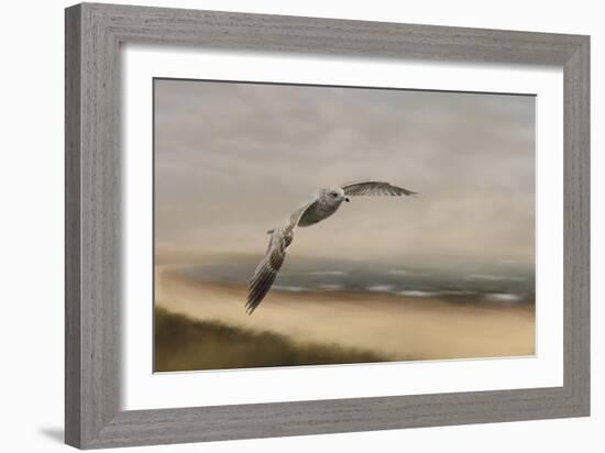 Gull at the Shore-Jai Johnson-Framed Giclee Print