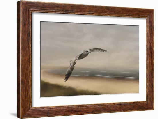 Gull at the Shore-Jai Johnson-Framed Giclee Print