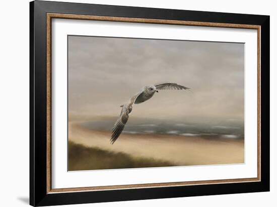 Gull at the Shore-Jai Johnson-Framed Giclee Print