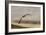 Gull at the Shore-Jai Johnson-Framed Giclee Print