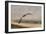 Gull at the Shore-Jai Johnson-Framed Giclee Print