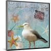 Gull Beach II-Rick Novak-Mounted Art Print