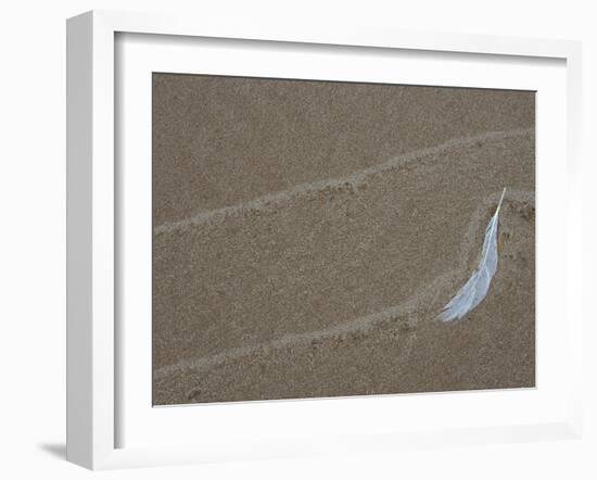 Gull Feather and Wave Lines on Lake Michigan Beach, Michigan, USA-Mark Carlson-Framed Photographic Print