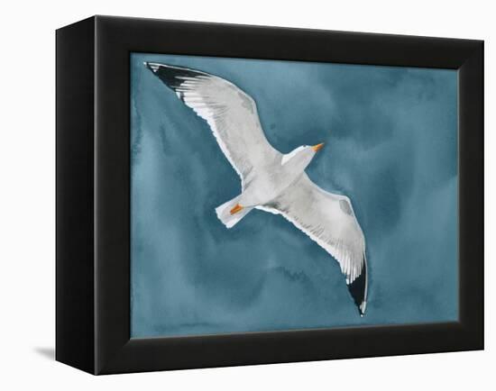 Gull in a Gale I-Grace Popp-Framed Stretched Canvas