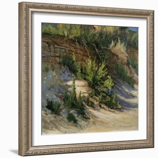 Gull Island-Michael Budden-Framed Giclee Print