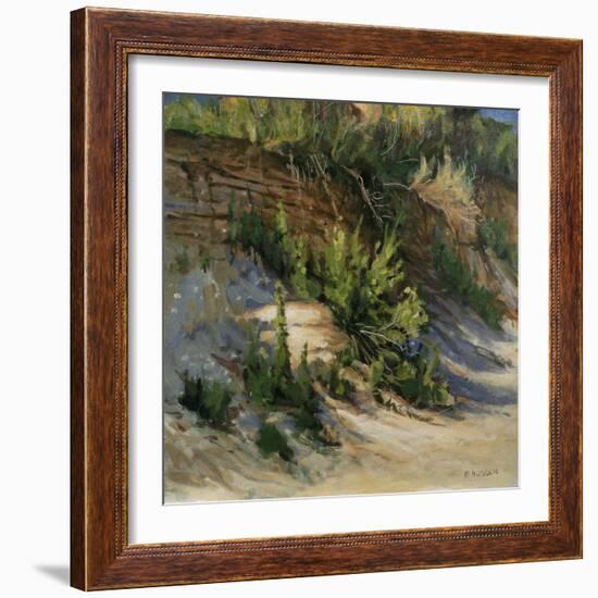 Gull Island-Michael Budden-Framed Giclee Print