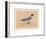 'Gull', (Laridae), c1850, (1856)-Unknown-Framed Giclee Print