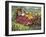 Gulliver's Travels-null-Framed Giclee Print