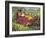 Gulliver's Travels-null-Framed Giclee Print