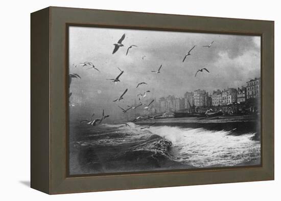 Gulls at Brighton, East Sussex, Early 20th Century-null-Framed Premier Image Canvas
